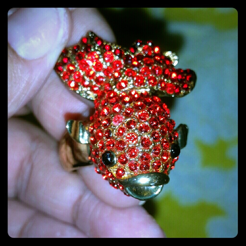 Goldfish Stretch Ring